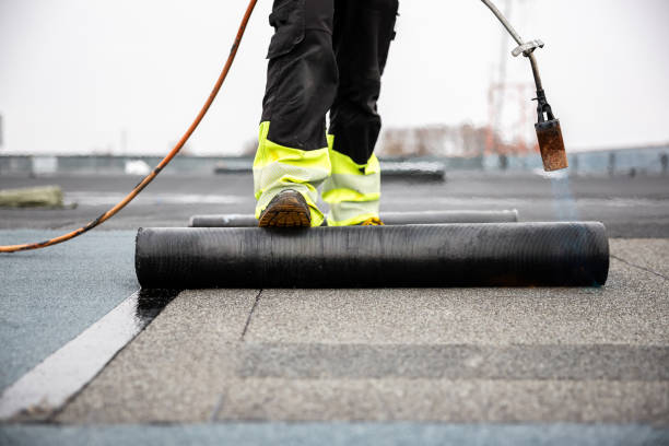 Best Steel Roofing  in Wd, AR